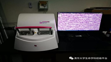 細胞生物學平臺3DHISTECH玻片掃描系統培訓通知