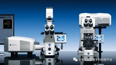 細胞生物學平臺Zeiss激光共聚焦顯微鏡培訓通知