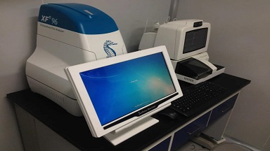 共享儀器平臺Seahorse細胞能量代謝分析儀線上培訓通知