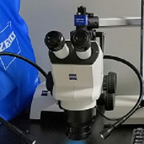 Zeiss Stemi 508體視顯微鏡