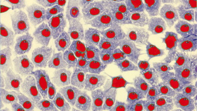 尼康生物影像中心圖像處理線上培訓通知