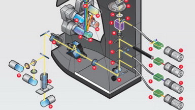 共享儀器平臺Leica TCS SP8 STED超高分辨共聚焦顯微鏡線上培訓通知