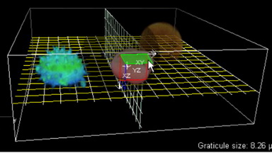 尼康生物影像中心圖像處理線上培訓通知（第一講）