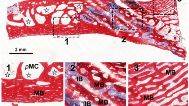 細胞生物學平臺Olympus IX81活細胞工作站培訓通知