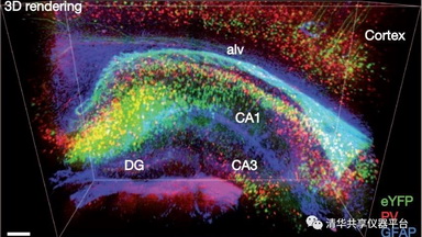 共享儀器平臺組織透明化技術線上培訓通知