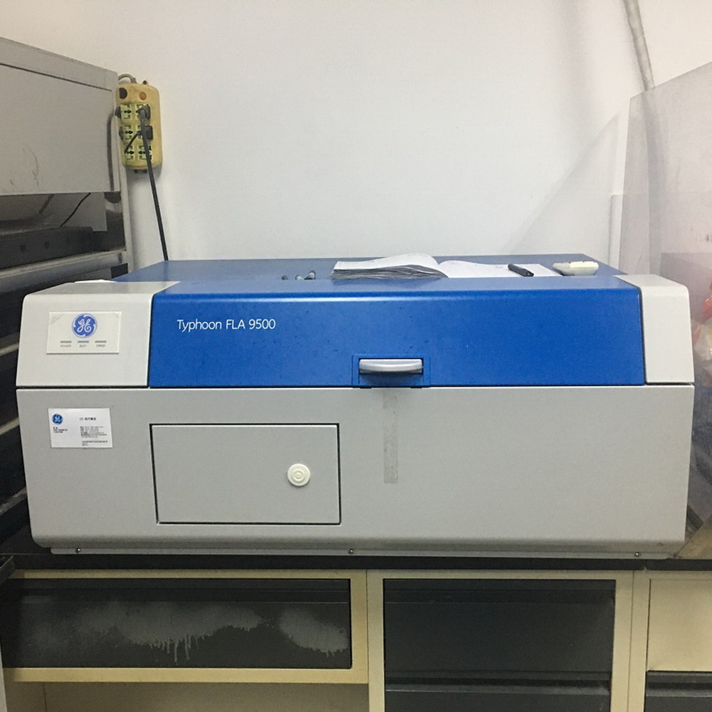 GE Typhoon FLA 9500多功能熒光分析儀