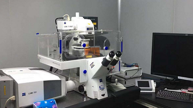 共享儀器平臺Zeiss LSM780激光共聚焦顯微鏡線上培訓通知