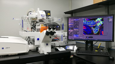 共享儀器平臺蔡司超高分辨激光共聚焦顯微鏡LSM880線上培訓通知