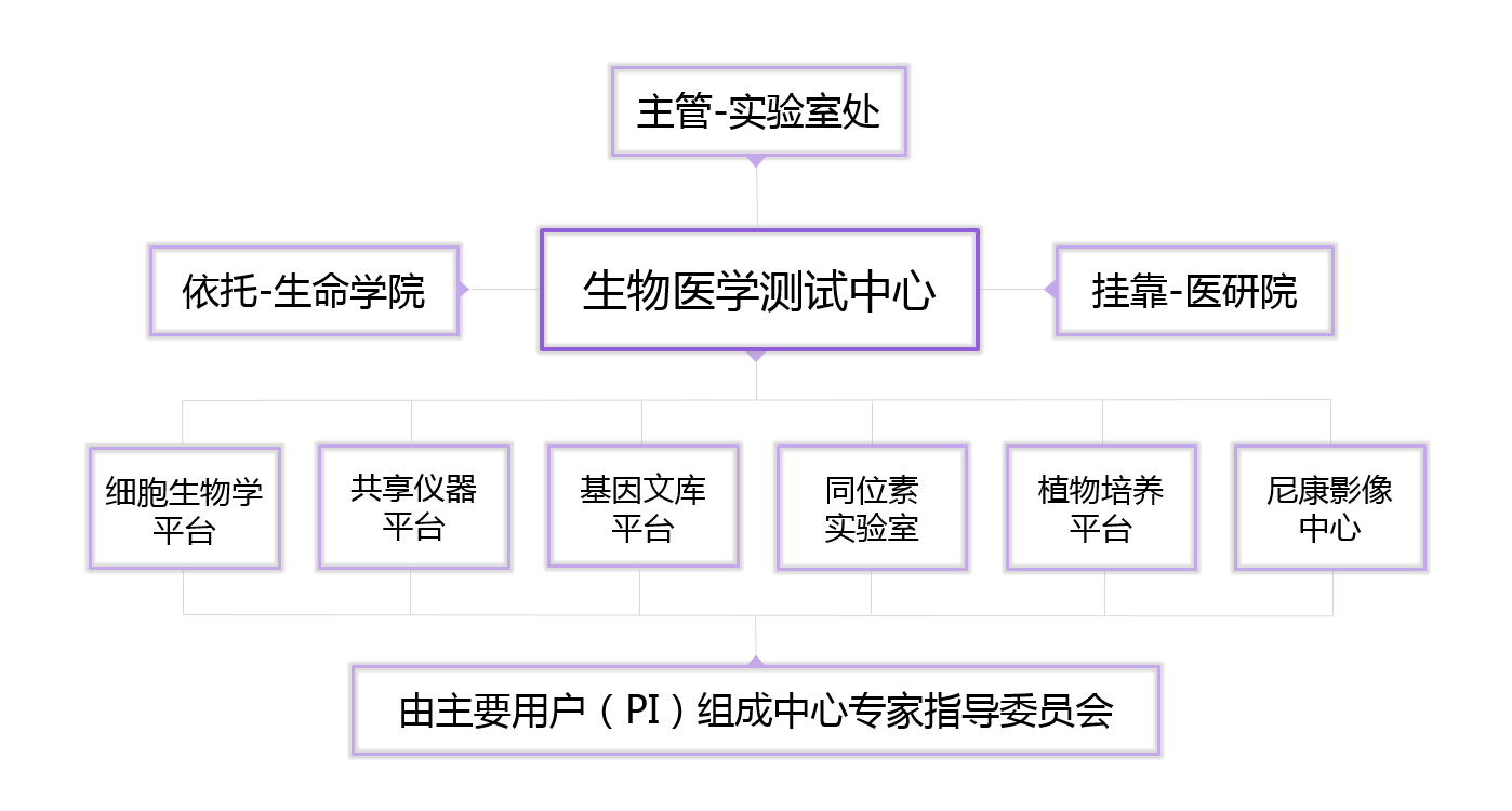 中心概況
