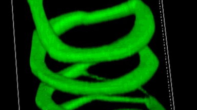 尼康生物影像中心3D成像專題線上培訓通知