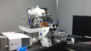 共享儀器平臺Zeiss LSM780激光共聚焦顯微鏡線上培訓通知