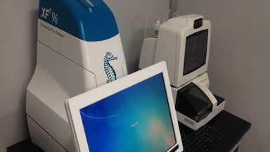 共享儀器平臺Seahorse細胞能量代謝分析儀線上培訓通知