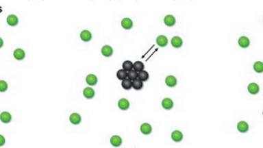 細胞生物學平臺FRAP及相關方法簡介線上專題講座