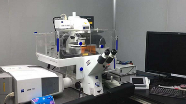 共享儀器平臺Zeiss LSM780激光共聚焦顯微鏡操作線上培訓通知
