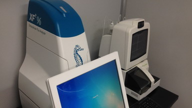 共享儀器平臺Seahorse細胞能量代謝分析儀線上培訓通知