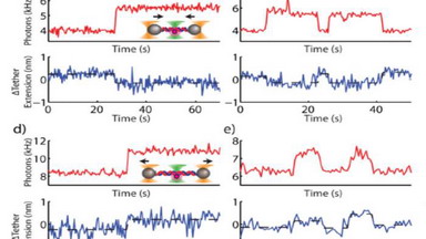 尼康生物影像中心單分子成像技術線上講座通知