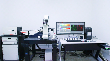 共享儀器平臺Leica TCS SP8 STED超高分辨共聚焦顯微鏡線上培訓通知