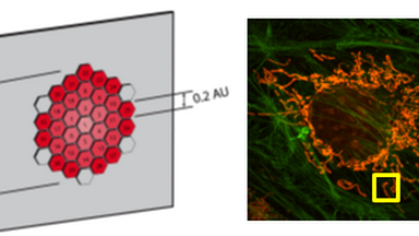 生物醫學測試中心共享儀器平臺系列培訓專題研討會（一） LSM880 Airyscan高分辨成像特點及應用方向