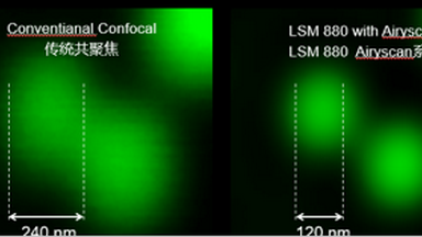 清華云課堂---顯微成像技術系列培訓專題研討會
