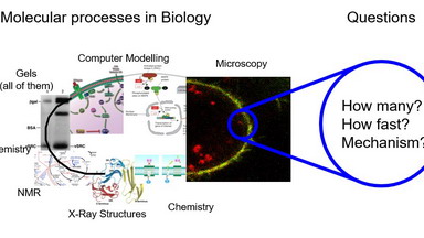 生物醫學測試中心共享儀器平臺系列培訓專題研討會（三） 利用LSM880進行熒光相關光譜FCS檢測