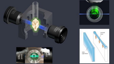生物醫學測試中心共享儀器平臺系列培訓專題研討會（四） 光片顯微鏡成像原理及應用方向（含樣品制備）