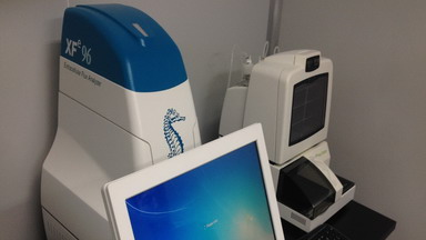 共享儀器平臺Seahorse細胞能量代謝分析儀培訓通知