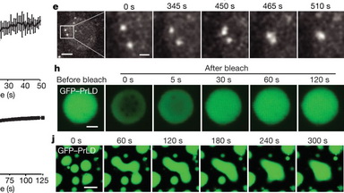 尼康生物影像中心圖像處理系列專題(四) 時間序列分析