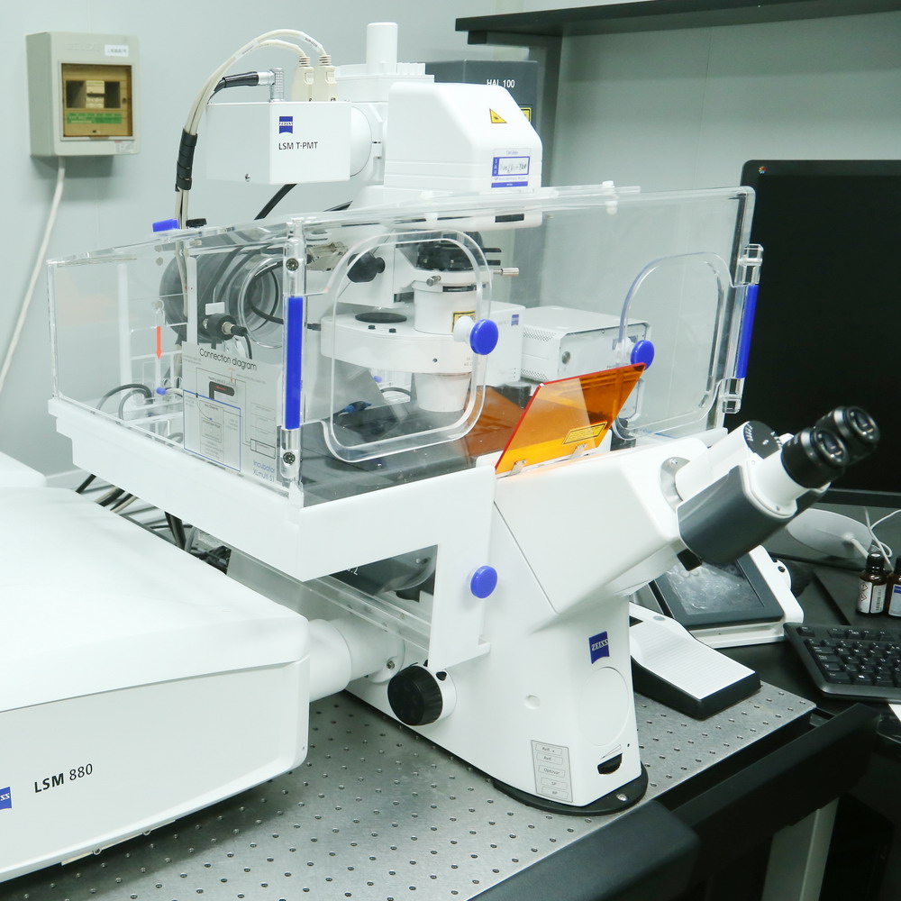 Zeiss LSM880倒置共聚焦顯微鏡操作視頻