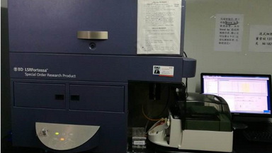 共享儀器平臺BD Fortessa流式細胞分析儀上機培訓通知