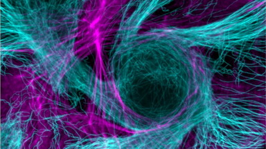 細胞影像平臺轉盤共聚焦顯微鏡上機培訓通知