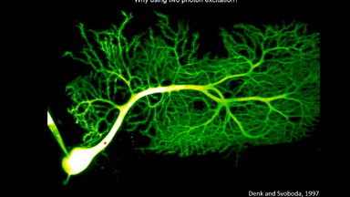 共享儀器平臺Zeiss Lightsheet Z.1激光片層掃描顯微鏡培訓通知