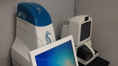 共享儀器平臺Seahorse細胞能量代謝分析儀培訓通知