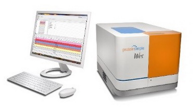 蛋白質制備與鑒定平臺超微量蛋白印跡定量分析系統（Wes）線上培訓通知