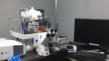 共享儀器平臺Zeiss LSM780激光共聚焦顯微鏡培訓