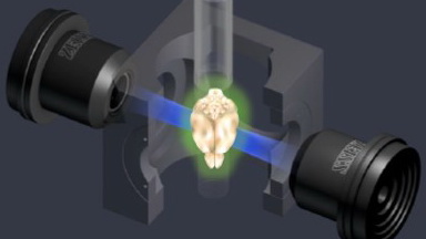 共享儀器平臺Zeiss Lightsheet Z.1激光片層掃描顯微鏡線上培訓通知