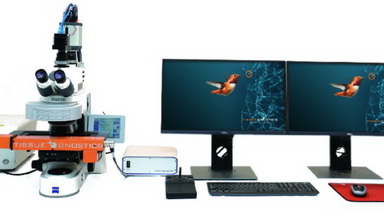 共享儀器平臺TissueFAXS Cytometry全景組織細胞定量分析系統技術培訓通知