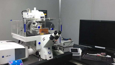 共享儀器平臺Zeiss LSM780激光共聚焦顯微鏡培訓通知