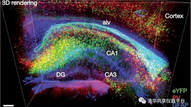 共享儀器平臺組織透明化技術線上培訓通知