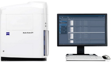 細胞生物學平臺Zeiss全自動數字玻片掃描系統培訓通知