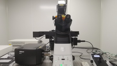 細胞影像平臺高分辨共聚焦顯微鏡培訓通知