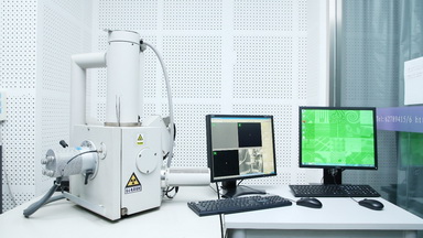 細胞生物學平臺電鏡機組掃描電子顯微鏡培訓通知