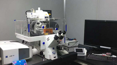 共享儀器平臺Zeiss LSM780激光共聚焦顯微鏡培訓通知