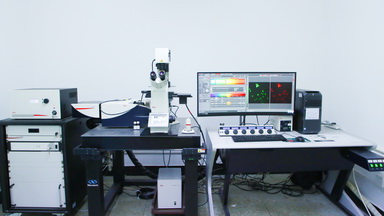 共享儀器平臺Leica TCS SP8 STED 超高分辨共聚焦顯微鏡培訓通知