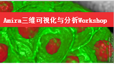 細胞影像平臺-Amira三維可視化與分析Workshop