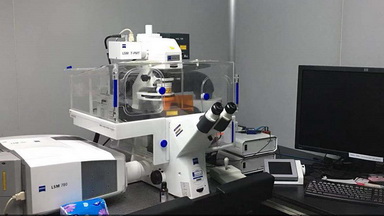 共享儀器平臺Zeiss LSM780激光共聚焦顯微鏡線上培訓通知