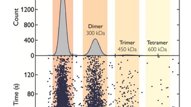 蛋白質制備與鑒定平臺質量光度儀培訓通知