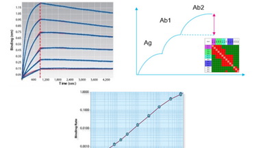 蛋白質制備與鑒定平臺生物層干涉分子互作儀培訓通知