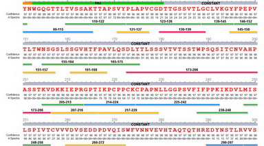 蛋白質化學與組學平臺PEAKS AB基于質譜的抗體蛋白測序數據分析線上培訓通知