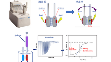 蛋白質制備與鑒定平臺等溫滴定量熱儀培訓通知