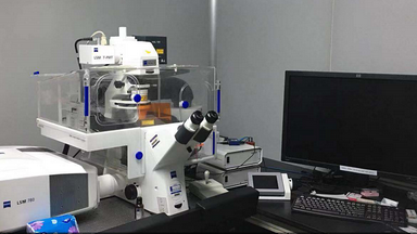 共享儀器平臺Zeiss LSM780激光共聚焦顯微鏡線下培訓通知